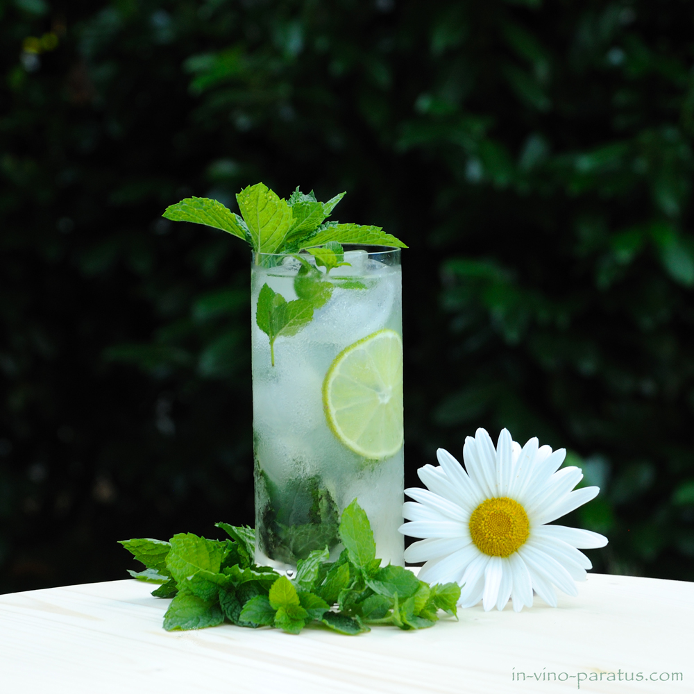 Mojito cocktail