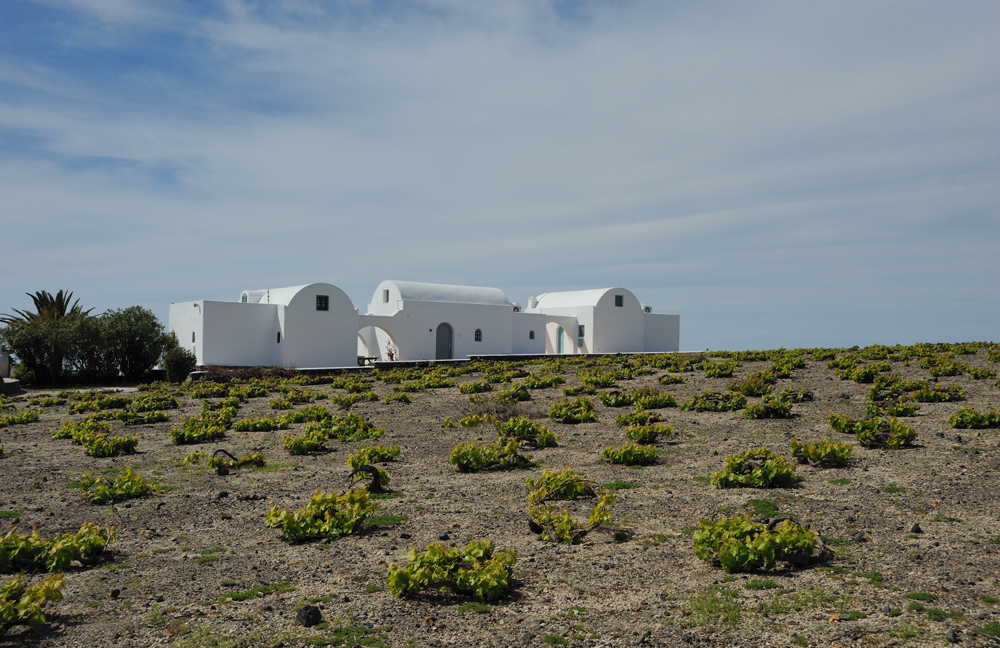 Santorini winery