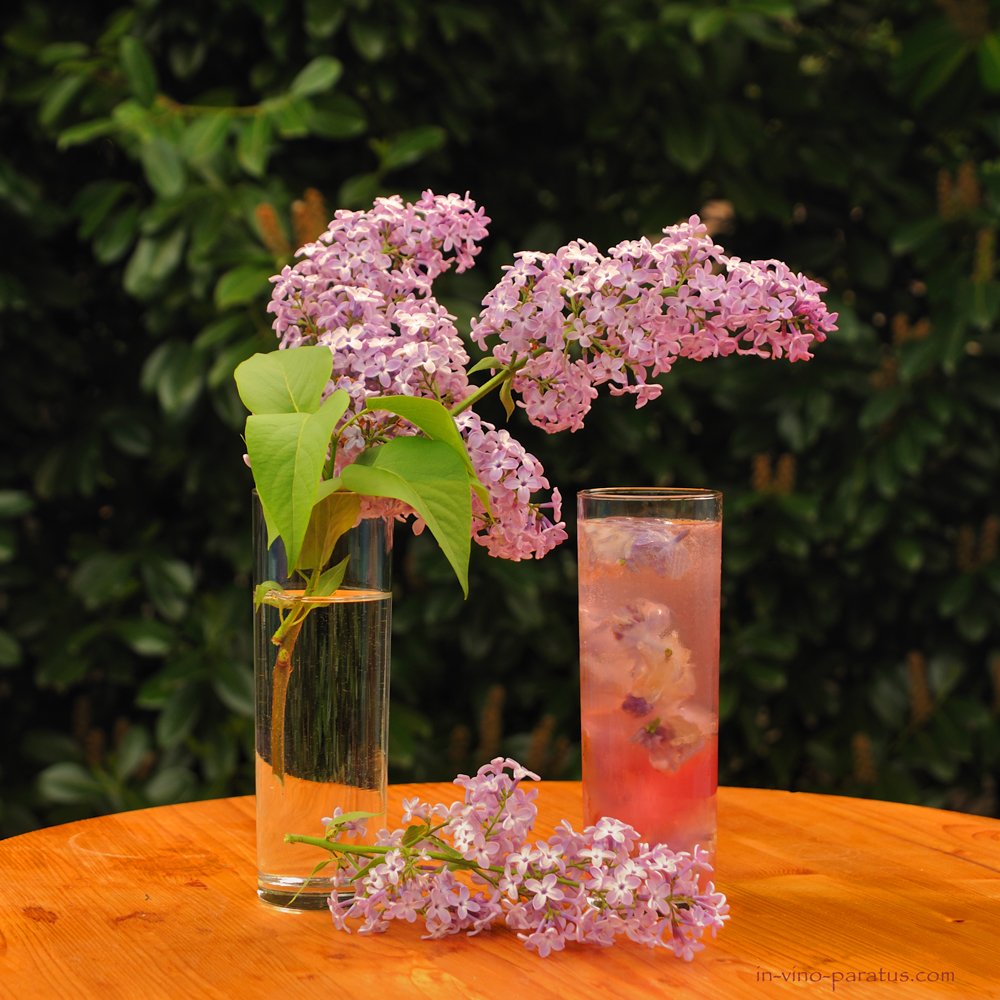 cocktail Lilac Fizz