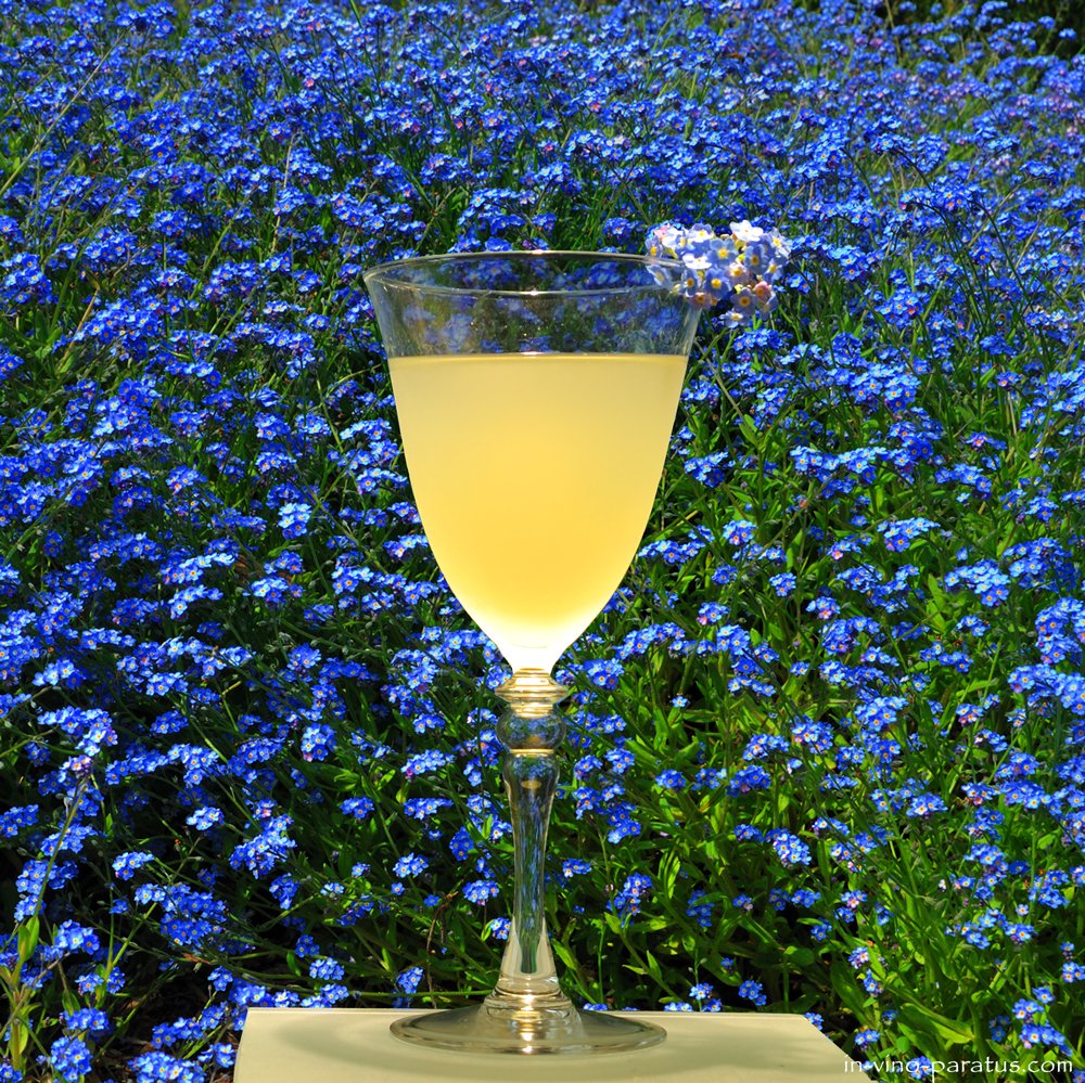 Cocktail Forget-Me-Not