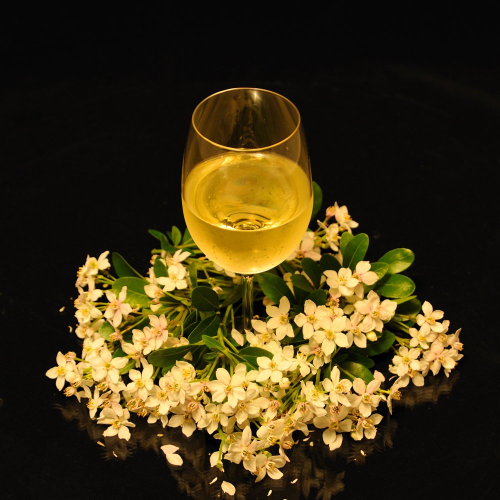 Sauvignon blanc