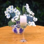 prosecco