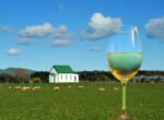 New Zealand wines