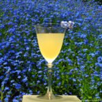 Cocktail Forget-Me-Not