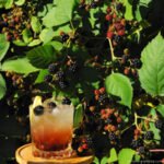cocktail Bramble